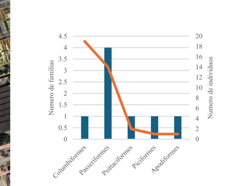 Abundancia de familias de avifauna